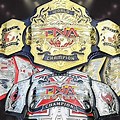 TNA Wrestling New Championship
