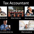Tax Accountant Meme