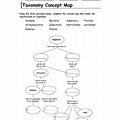 Taxonomy Concept Map