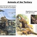 Tertiary Animals List