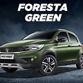 Tiago NRG Forest Green