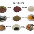 Types of Fertilizer Grade