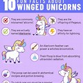 Unicorn Awsome Facts