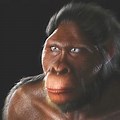 What Did the First Humans Really Look Like