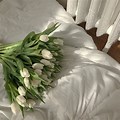 White Aesthetic Flowers Pinterest