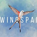 Wingspan Game Wallpaper