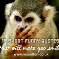 Witty Funny Quotes Humor