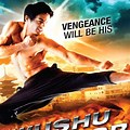 Wushu Martial Arts Movies