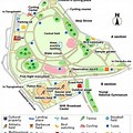Yoyogi Park Master Plan