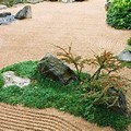 Zen Sand Garden From Above