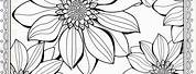 Coloring Book Flower Anthericum