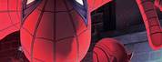 Spider-Man and Daredevil Fan Art