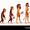 Evolution of Human Cartoon Chart