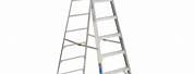 10 Foot Aluminum Step Ladder