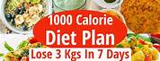 1000 Calorie Meal Plan with Indian Vegetarian Meals