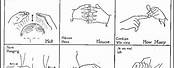 11th Grade Sign Language Worksheets