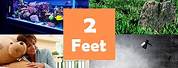 2 Feet Tall Objects