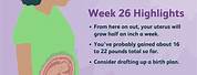 26 Weeks Pregnant Fetal Movement