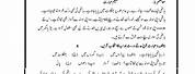 2nd Grade Comprehension Worksheets in Urdu