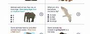 2nd Grade Science Animals Worksheets