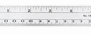 6 Inch Ruler with Measurements