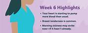 6 Week Pregnancy Symptoms