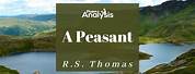A Peasant Poem R S Thomas