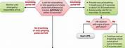 AHA Pediatric BLS Algorithm