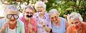 Activities for Seniors to Be Happy With