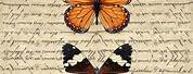 Aesthetic Highlight Covers Butterfly Vintage