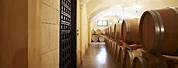 Allegrini Wine Cellar