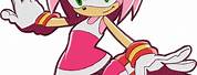 Amy Rose Sonic Riders