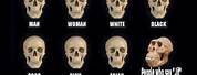 Ape by Human Skeleton Meme