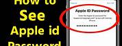 Apple ID with Password for Free