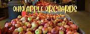 Apple Orchards Otway Ohio
