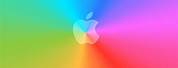 Apple Rainbow Wallpaper 4K