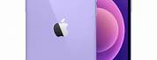 Apple iPhone 12 Mini Colors
