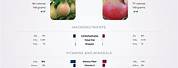 Apple vs Pear Leaves Outline