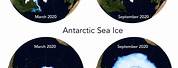 Arctic vs Antarctic Land