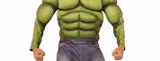 Avengers 2 Hulk Costume