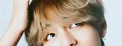 BTS V Cute Pictures for PC Wallpaper