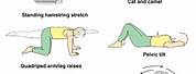 Back Pain Exercises Handout
