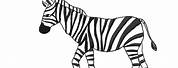 Basic Outline of Zebra Template