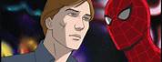 Batman Spider-Man Animated Series