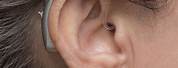Behind the Ear Hearing Aids Cut Out View
