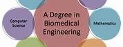 Biomedical Engineering Fields