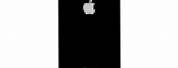 Black Back Glass iPhone 8