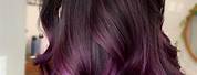 Black Fade Violet Hair Color