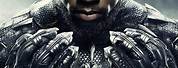 Black Panther 1 Movie Poster