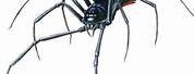 Black Widow Spider Face Cartoon